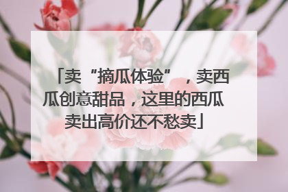 卖“摘瓜体验”，卖西瓜创意甜品，这里的西瓜卖出高价还不愁卖