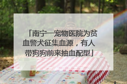 南宁一宠物医院为贫血警犬征集血源，有人带狗狗前来抽血配型