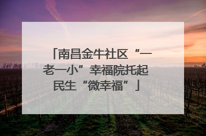 南昌金牛社区“一老一小”幸福院托起民生“微幸福”