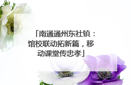 南通通州东社镇：馆校联动拓新篇，移动课堂传忠孝