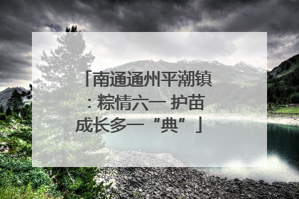 南通通州平潮镇：粽情六一 护苗成长多一“典”