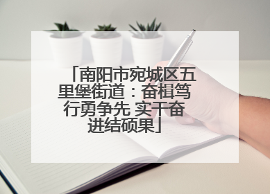 南阳市宛城区五里堡街道：奋楫笃行勇争先 实干奋进结硕果