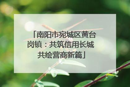 南阳市宛城区黄台岗镇：共筑信用长城 共绘营商新篇