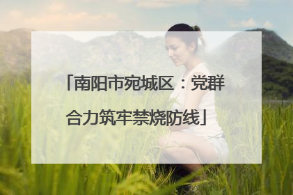 南阳市宛城区：党群合力筑牢禁烧防线
