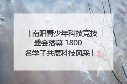 南阳青少年科技竞技盛会落幕 1800 名学子共展科技风采