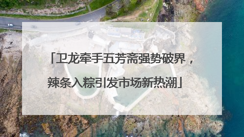 卫龙牵手五芳斋强势破界，辣条入粽引发市场新热潮