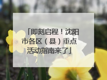 即刻启程！沈阳市各区（县）重点活动指南来了