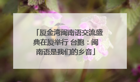 厦金湾闽南语交流盛典在厦举行 台胞：闽南语是我们的乡音