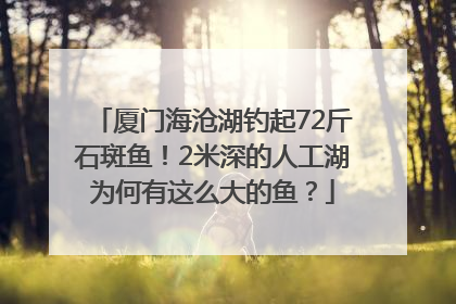 厦门海沧湖钓起72斤石斑鱼！2米深的人工湖为何有这么大的鱼？