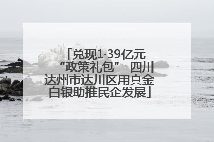 兑现1·39亿元“政策礼包” 四川达州市达川区用真金白银助推民企发展
