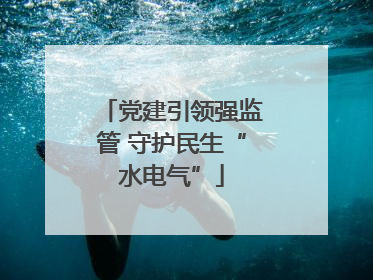 党建引领强监管 守护民生“水电气”