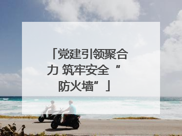 党建引领聚合力 筑牢安全“防火墙”