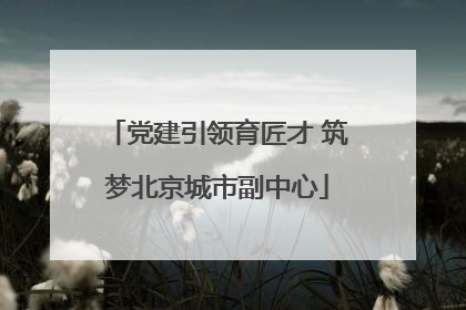 党建引领育匠才 筑梦北京城市副中心