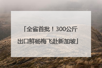 全省首批！300公斤出口鲜杨梅飞赴新加坡