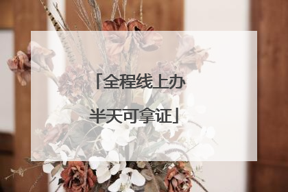 全程线上办 半天可拿证