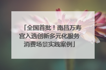 全国首批！南昌万寿宫入选创新多元化服务消费场景实践案例