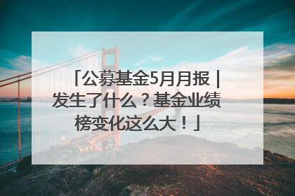 公募基金5月月报｜发生了什么？基金业绩榜变化这么大！