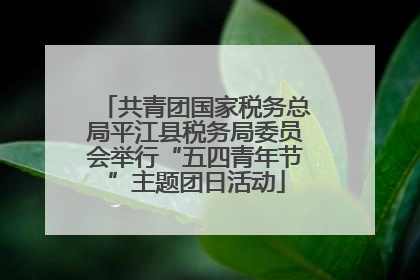 共青团国家税务总局平江县税务局委员会举行“五四青年节”主题团日活动