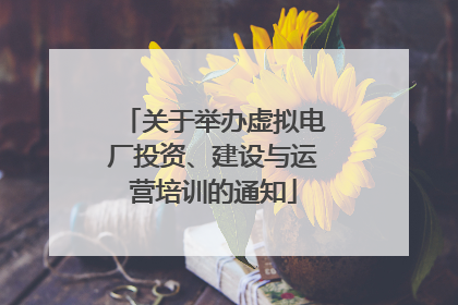 关于举办虚拟电厂投资、建设与运营培训的通知