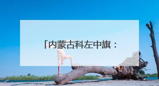 内蒙古科左中旗：插秧忙 待稻香