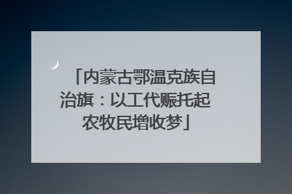 内蒙古鄂温克族自治旗：以工代赈托起农牧民增收梦