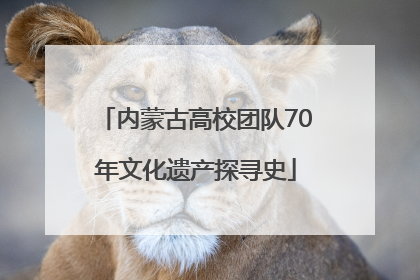 内蒙古高校团队70年文化遗产探寻史