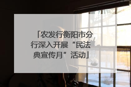 农发行衡阳市分行深入开展“民法典宣传月”活动