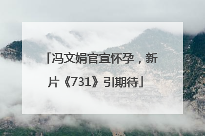 冯文娟官宣怀孕，新片《731》引期待