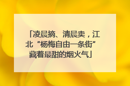 凌晨摘、清晨卖，江北“杨梅自由一条街”藏着最甜的烟火气