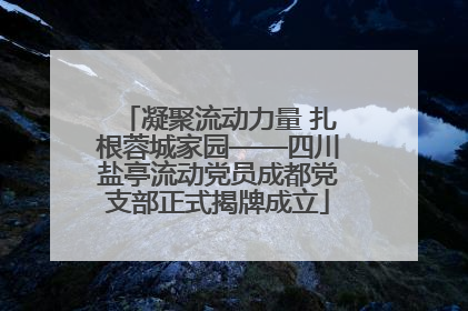 凝聚流动力量 扎根蓉城家园——四川盐亭流动党员成都党支部正式揭牌成立