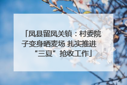 凤县留凤关镇：村委院子变身晒麦场 扎实推进“三夏”抢收工作