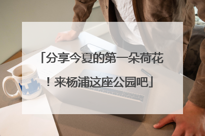 分享今夏的第一朵荷花！来杨浦这座公园吧