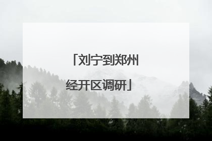 刘宁到郑州经开区调研
