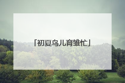 初夏鸟儿育雏忙