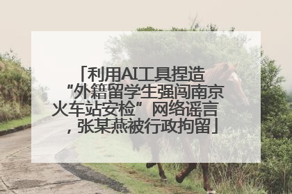 利用AI工具捏造 “外籍留学生强闯南京火车站安检”网络谣言，张某燕被行政拘留