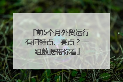 前5个月外贸运行有何特点、亮点？一组数据带你看
