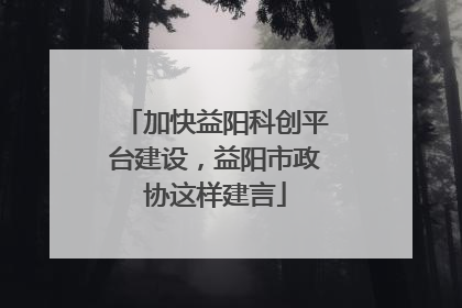 加快益阳科创平台建设，益阳市政协这样建言