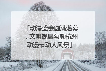 动漫盛会圆满落幕，文明观展勾勒杭州动漫节动人风景