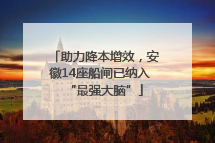 助力降本增效，安徽14座船闸已纳入“最强大脑”