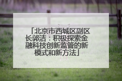 北京市西城区副区长郭洁：积极探索金融科技创新监管的新模式和新方法