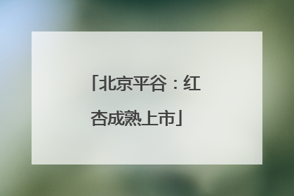 北京平谷：红杏成熟上市