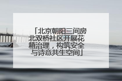 北京朝阳三间房北双桥社区开展花箱治理，构筑安全与诗意共生空间