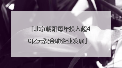 北京朝阳每年投入超40亿元资金助企业发展