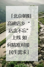 北京朝阳高碑店乡“店念不忘” 上线 如何精准对接民生需求