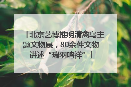 北京艺博推明清禽鸟主题文物展，80余件文物讲述“瑞羽鸣祥”