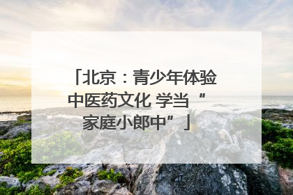 北京：青少年体验中医药文化 学当“家庭小郎中”