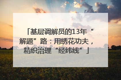 基层调解员的13年“解题”路：用绣花功夫，精织治理“经纬线”