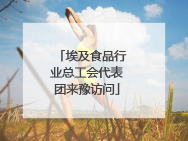 埃及食品行业总工会代表团来豫访问