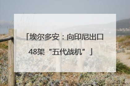 埃尔多安：向印尼出口48架“五代战机”