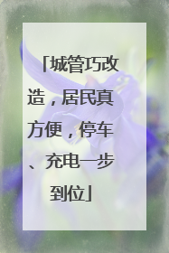 城管巧改造，居民真方便，停车、充电一步到位